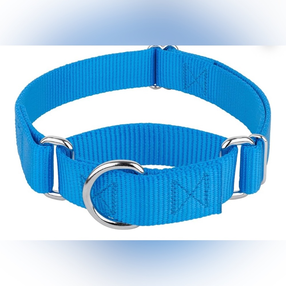 Country Brook Petz Martingale Dog Collar